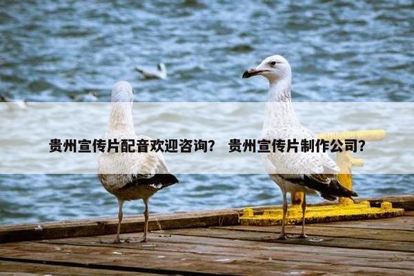 贵州宣传片配音欢迎咨询？ 贵州宣传片制作公司？