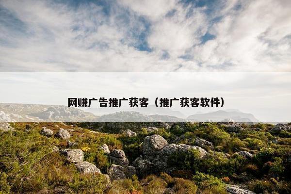 网赚广告推广获客（推广获客软件）