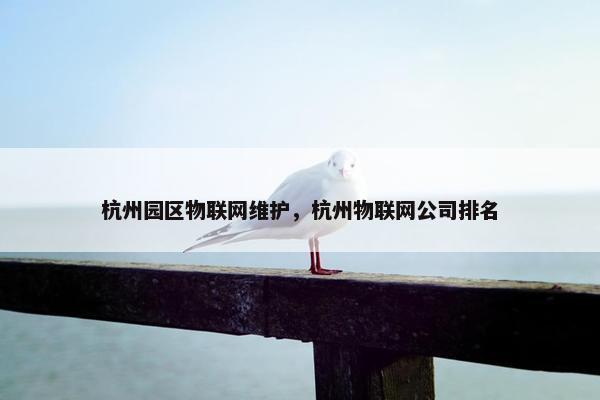 杭州园区物联网维护，杭州物联网公司排名