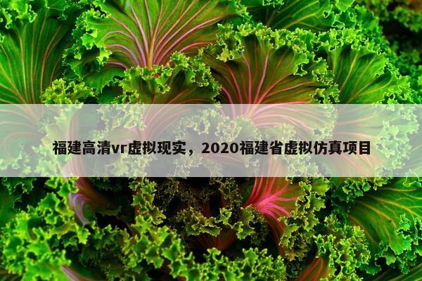 福建高清vr虚拟现实，2020福建省虚拟仿真项目