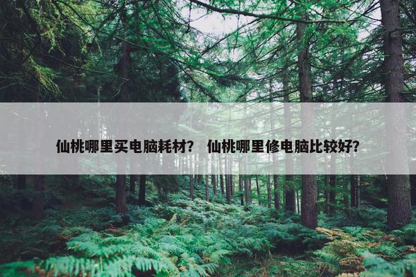 仙桃哪里买电脑耗材？ 仙桃哪里修电脑比较好？