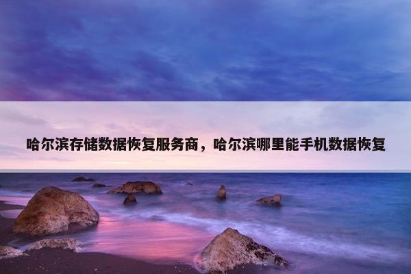 哈尔滨存储数据恢复服务商，哈尔滨哪里能手机数据恢复
