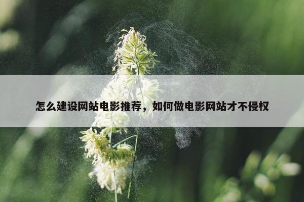 怎么建设网站电影推荐，如何做电影网站才不侵权