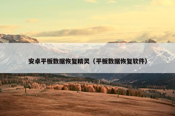安卓平板数据恢复精灵（平板数据恢复软件）