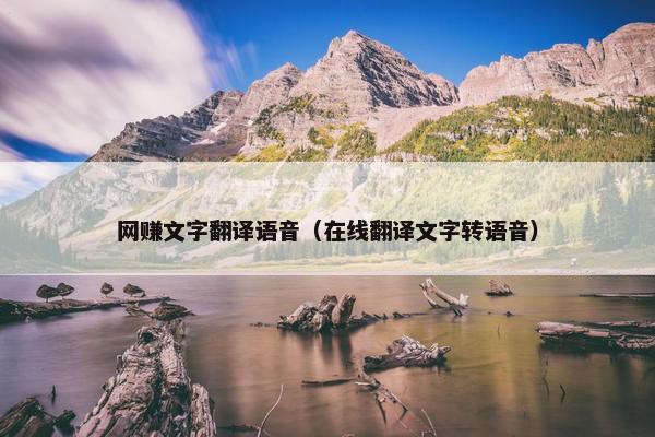 网赚文字翻译语音（在线翻译文字转语音）