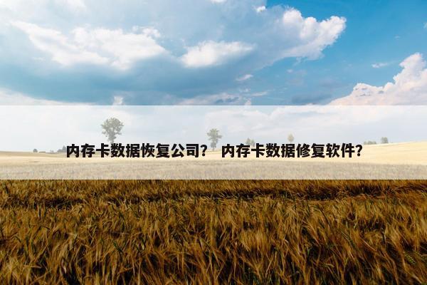内存卡数据恢复公司？ 内存卡数据修复软件？