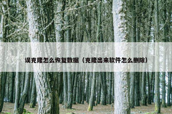 误克隆怎么恢复数据（克隆出来软件怎么删除）