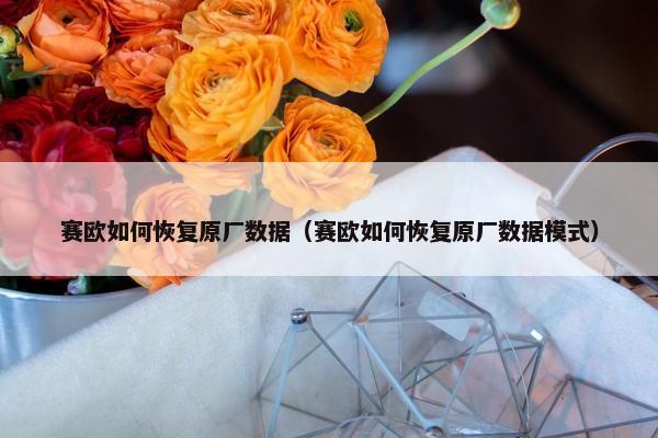 赛欧如何恢复原厂数据（赛欧如何恢复原厂数据模式）
