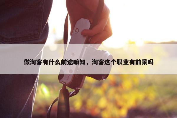 做淘客有什么前途嘛知，淘客这个职业有前景吗