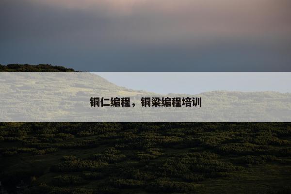 铜仁编程，铜梁编程培训
