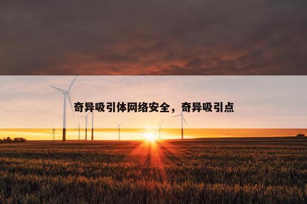 奇异吸引体网络安全，奇异吸引点