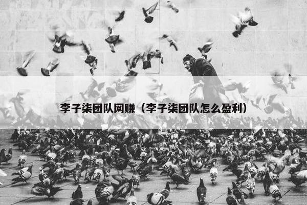 李子柒团队网赚（李子柒团队怎么盈利）