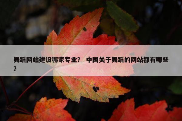 舞蹈网站建设哪家专业？ 中国关于舞蹈的网站都有哪些？