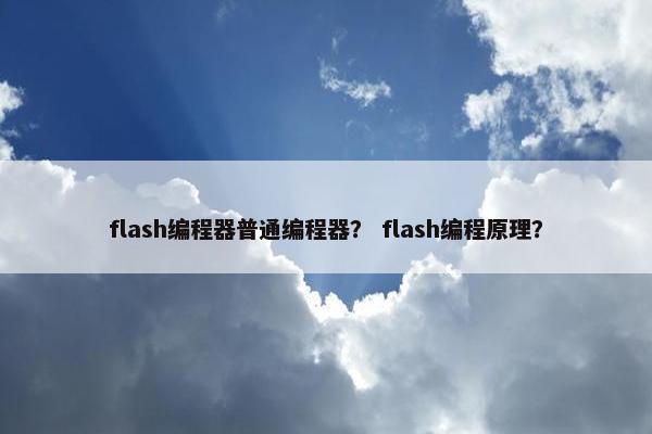 flash编程器普通编程器？ flash编程原理？