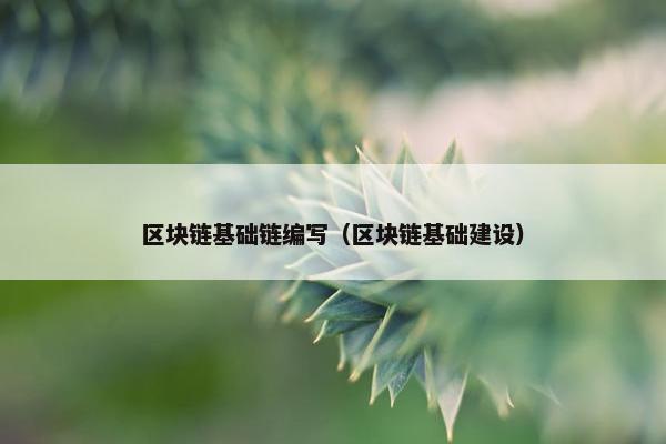 区块链基础链编写（区块链基础建设）