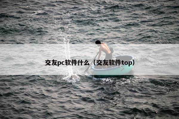 交友pc软件什么（交友软件top）