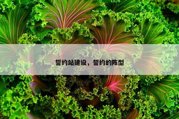 誓约站建设，誓约的阵型