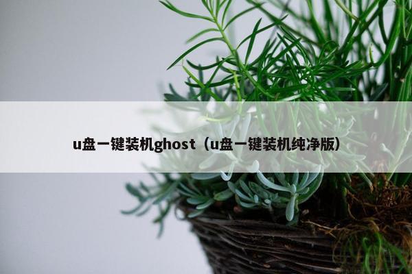 u盘一键装机ghost（u盘一键装机纯净版）