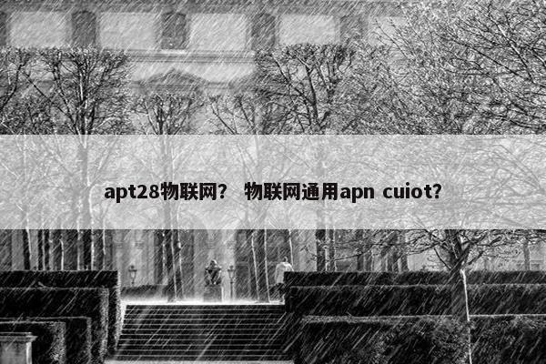 apt28物联网？ 物联网通用apn cuiot？