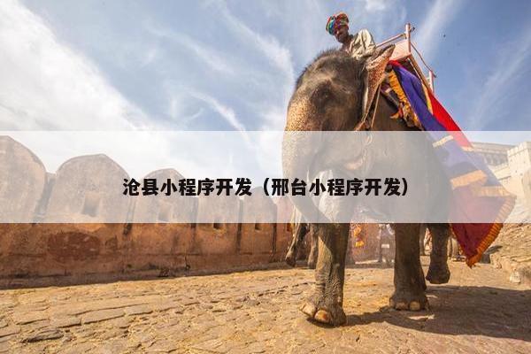 沧县小程序开发（邢台小程序开发）