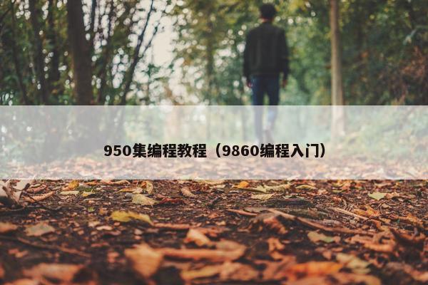 950集编程教程（9860编程入门）