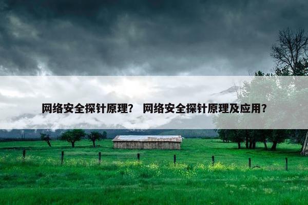 网络安全探针原理？ 网络安全探针原理及应用？