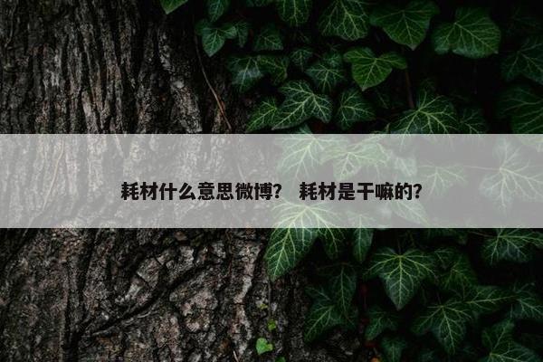 耗材什么意思微博？ 耗材是干嘛的？