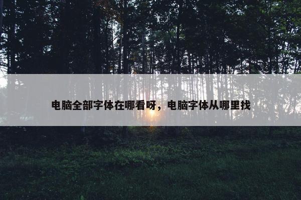 电脑全部字体在哪看呀，电脑字体从哪里找