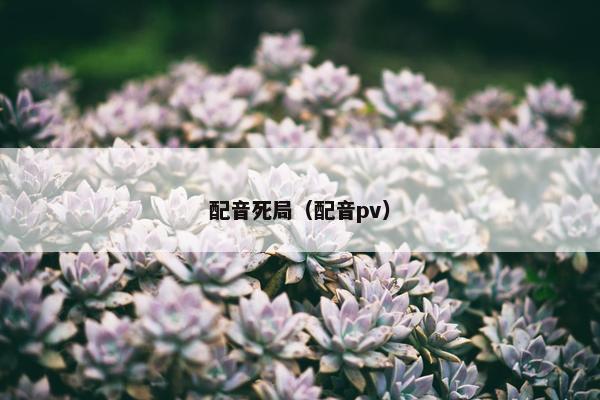 配音死局（配音pv）