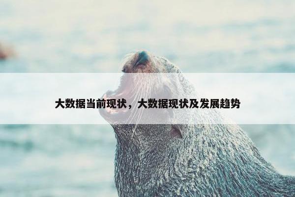 大数据当前现状，大数据现状及发展趋势