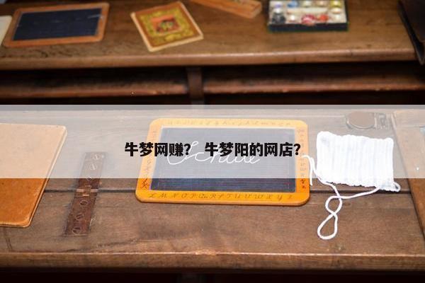 牛梦网赚？ 牛梦阳的网店？