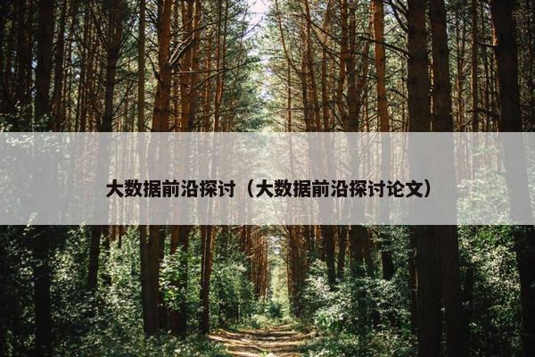 大数据前沿探讨（大数据前沿探讨论文）