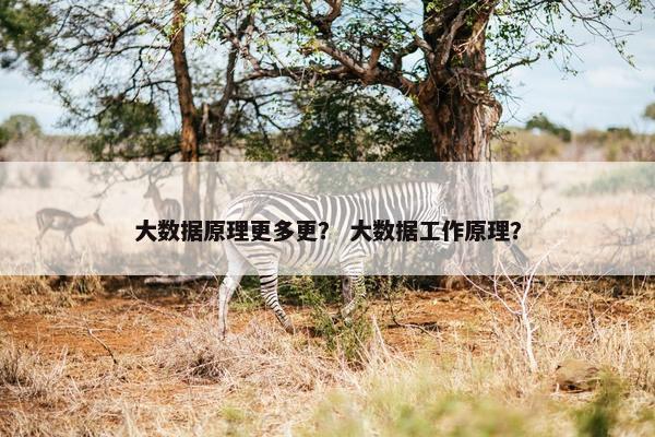 大数据原理更多更？ 大数据工作原理？