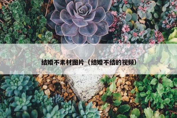 结婚不素材图片（结婚不结的视频）