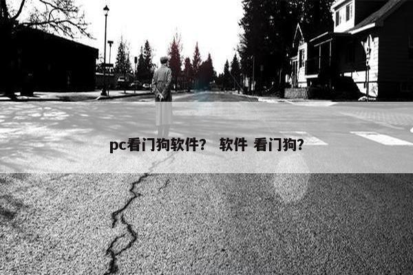 pc看门狗软件？ 软件 看门狗？