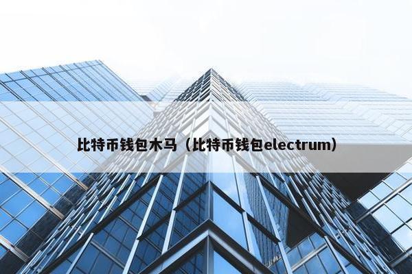 比特币钱包木马（比特币钱包electrum）