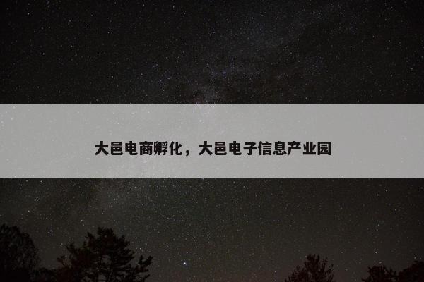 大邑电商孵化，大邑电子信息产业园
