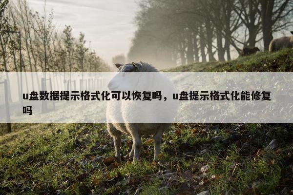 u盘数据提示格式化可以恢复吗，u盘提示格式化能修复吗