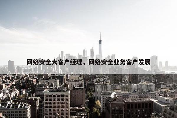 网络安全大客户经理，网络安全业务客户发展