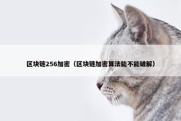区块链256加密（区块链加密算法能不能破解）