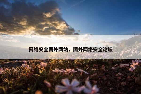 网络安全国外网站，国外网络安全论坛
