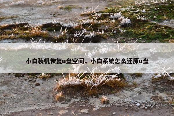 小白装机恢复u盘空间，小白系统怎么还原u盘