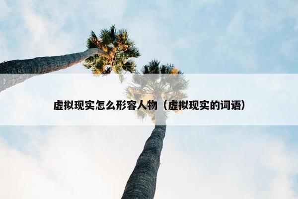虚拟现实怎么形容人物（虚拟现实的词语）