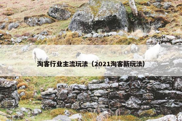 淘客行业主流玩法（2021淘客新玩法）