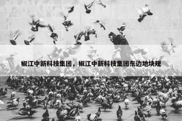 椒江中新科技集团，椒江中新科技集团东边地块规
