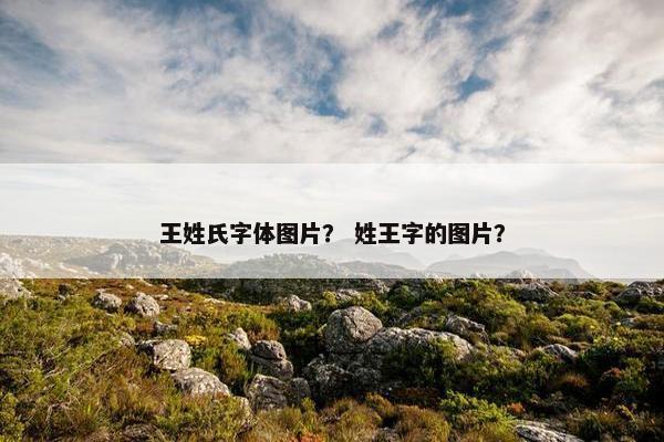 王姓氏字体图片？ 姓王字的图片？