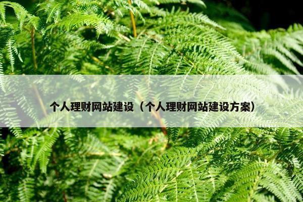 个人理财网站建设（个人理财网站建设方案）