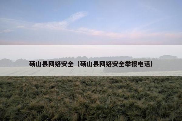 砀山县网络安全（砀山县网络安全举报电话）