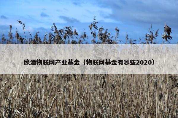 鹰潭物联网产业基金（物联网基金有哪些2020）