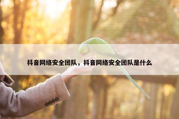 抖音网络安全团队，抖音网络安全团队是什么